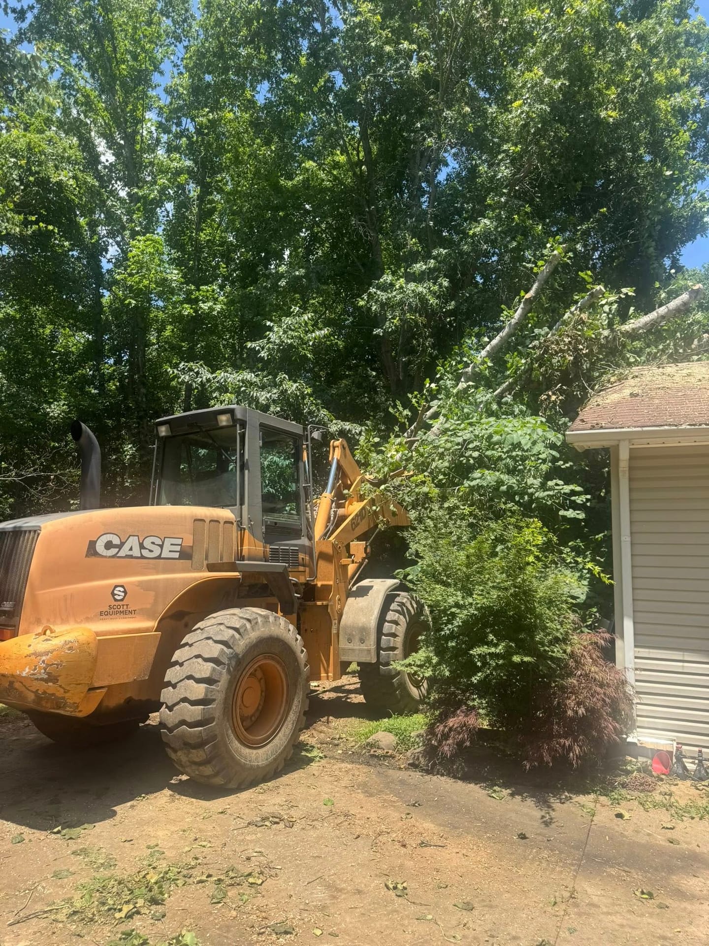 Heavy equipment for tree removal in Clarksville, TN